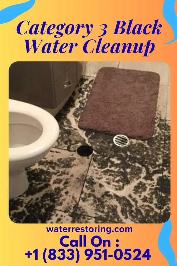 Category 3 Black Water Cleanup in Jerome, ID